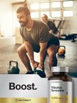 Suplemento Horbäach Tribulus Terrestris 15000 mg 180 cápsulas