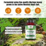 Cápsulas de hoja de moringa Organic Aura 1500 mg 150 HPMC Veg