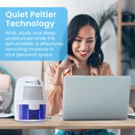 Deshumidificador Pro Breeze para el hogar de 20 m² con depósito de 500 ml de capacidad