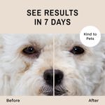 El kit quitamanchas de lágrimas para perros Eye Envy dura de 30 a 45 días