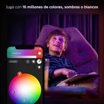 Philips Hue Go Lámpara Led Portátil White And Color