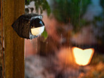 Philips Hue Outdoor sensor 