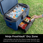 Enfriador Ninja Fb151bl Frostvault 50l Aislado Duradero