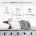 Conjunto Colchón y Sommier 1 Plaza Espuma Alta Densidad Estelar Gamma 80x190 