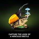 Set de construcción LEGO Ideas The Insect Collection 21342