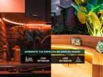 Manguera Luces Neon Gadnic Led Flexible Color Frio Fijo 5mts