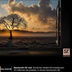 Smart Tv Samsung NEO QLED 65  QN65QN700 8K