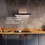 Campana Electrolux 60cm Experience CE6TF