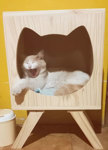 Mesa De Luz Gato
