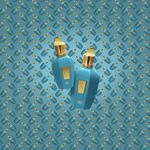 XERJOFF V Erba Pura Eau de Parfum 50ml