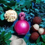 Perfume Britney Spears Fantasy Eau De Parfum para mujer, 100 ml