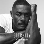 Perfume Calvin Klein Eternity para hombre Eau de Toilette 100 ml