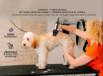 Cortadora de Pelo Canina Gadnic S600 Kit Peintes y Tijera para Perros