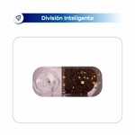 Comedero Bebedero con Dispensador de Comida Automatico Waggs Perro Gato Celeste