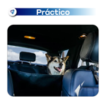 Funda Cubre Asiento Trasero Auto Impermeable Mascotas Waggs