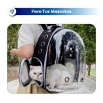 Mochila Capsula Transportadora para Gatos Perros Waggs Rojo