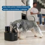 Filtro Para Bebedero De Mascotas Philco WF007PP