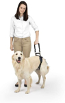 PetSafe CareLift Arnés de soporte trasero - Ayuda de elevación con asa y correa
