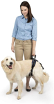 PetSafe CareLift Arnés de soporte trasero - Ayuda de elevación con asa y correa