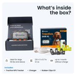 Localizador GPS Tractive XL para perros (más de 23 kg) con monitor de salud