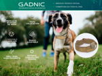 Collar De entrenamiento Gadnic Para Adiestramiento Canino