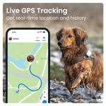 Rastreador GPS y monitoreo de salud para perros Tractive