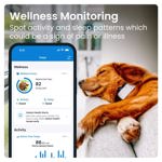 Rastreador GPS para mascotas Tractive DOG resistente al agua