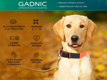 Collar Rápido Para Perro Gadnic Regulable Paseo  - Talle S