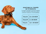 Collar Rápido Para Perro Gadnic Regulable Paseo  - Talle S