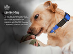 Collar Rápido Para Perro Gadnic Regulable Paseo  - Talle S