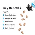 Suplemento Force Factor Amazing Ashwa con Ashwagandha KSM-66