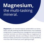 Suplemento CanPrev Bisglicinato de Magnesio 200 240 cápsulas