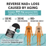 Suplemento Rhamoph Liposomal NAD+ 800 mg con trans-resveratrol