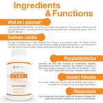 Suplemento ALMO de vitamina C liposomal 2000 mg 300 cápsulas