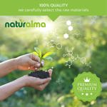 Suplemento herbal Naturalma Oats (Avena Sativa) Tops Tinctur