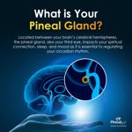 Suplemento Nutraville Pineal XT Gold 30 cápsulas vegetarianas