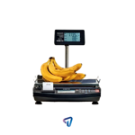 Balanza Kretz Comercial Digital Aura Eco 2 AUIB30P Hasta 30kg