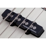 Bajo Electrico Schecter Diamond J5 Plus Ivy Jazz Bass