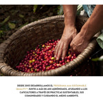 Cafetera Nespresso Essenza Mini D30 Roja