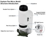 Microscopio DS. Luz LED para niños de estilo distintivo de 60 x 120 aumentos