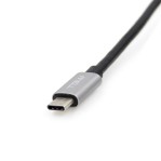 Cable USB Tipo C a USB Tipo C Tgw HUSB58
