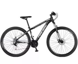 Bicicleta Aluminio Eco
