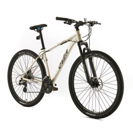 Bicicleta Fortis Sport 24V Shimano Mtb R29 Aluminio...