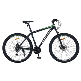 Bicicleta Mtb R29 Q5 Acero 21V Freno A Disco Color ...