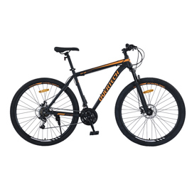 Bicicleta Mtb Q5 R29 Acero 21V Freno A Disco Negro ...