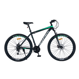 Bicicleta Mtb Q5 R29 Acero 21V Freno A Disco Negro ...