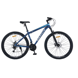Bicicleta Mtb Q5 R29 Acero 21V Freno A Disco Azul A...