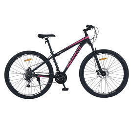 Bicicleta Mtb Q5 R29 Acero 21V Freno A Disco Negro ...