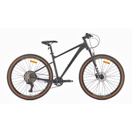 Bicicleta Mtb Peregrine Gt R29 Aluminio 11 Velocida...