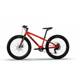 Bicicleta  M22 1.0 Adv Aluminio R24 Rdg Rojo